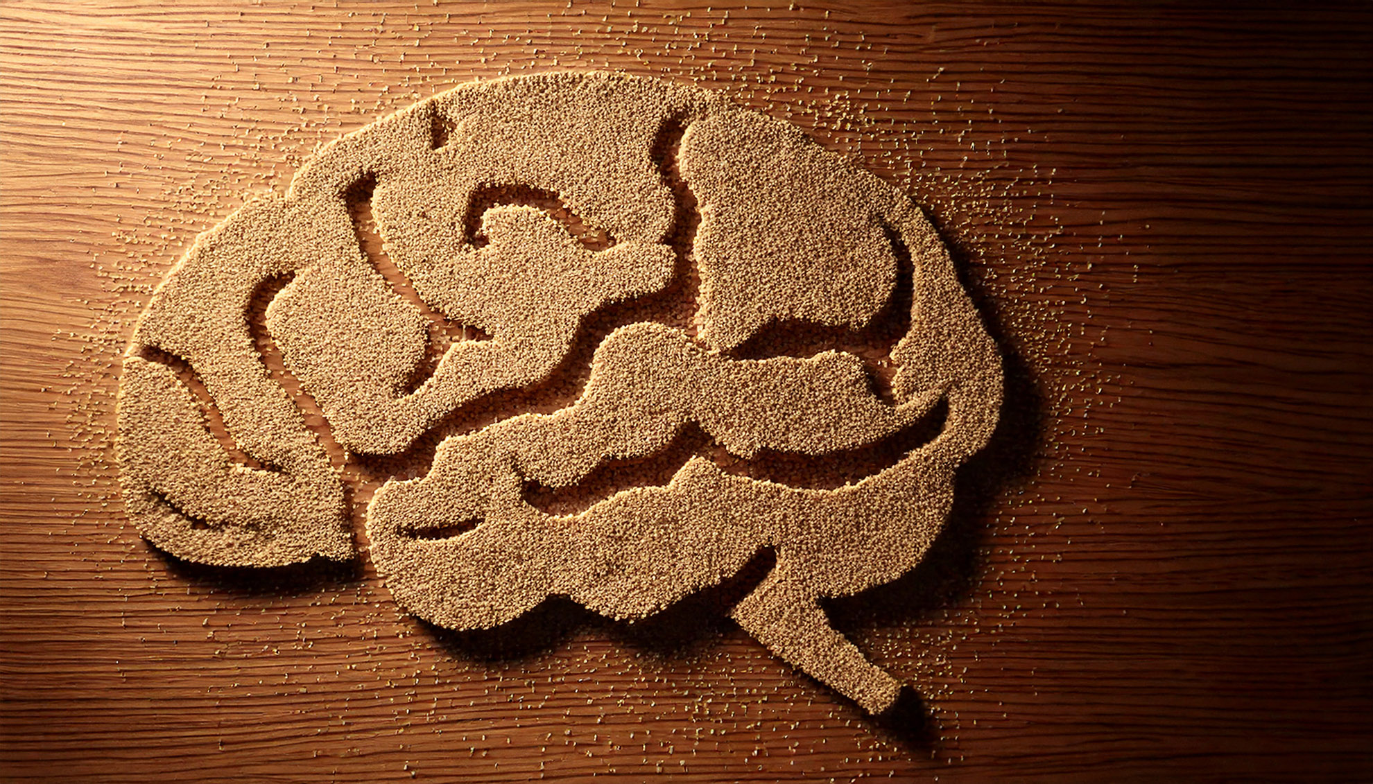 5 – Abstracte achtergrond met subtiele breinstructuren MR Veelgestelde vragen over werken met autisme